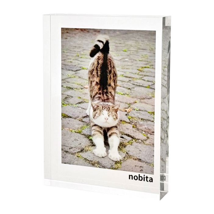 �����֥� �ġ��ե�����