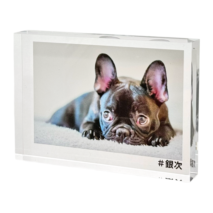 �����֥� �����ե�����