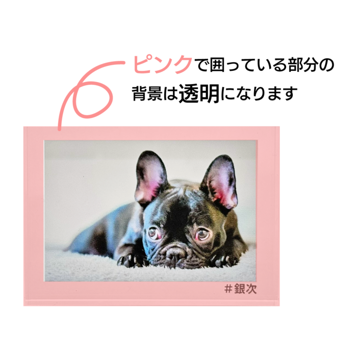 �����֥� �����ե�����