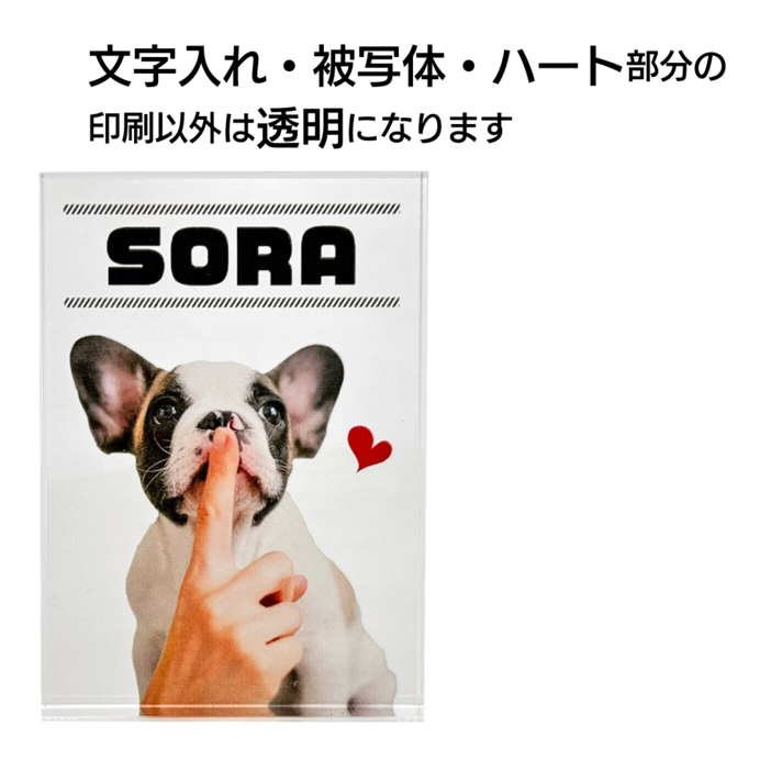 �����֥� �ġ��ǥ�����A