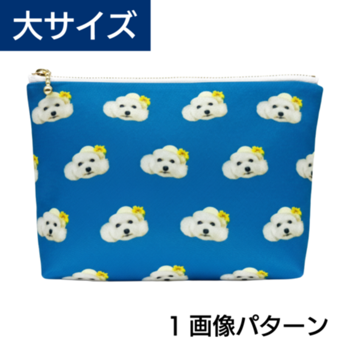 ���ѥ����󥸥åץݡ��� �硡1����