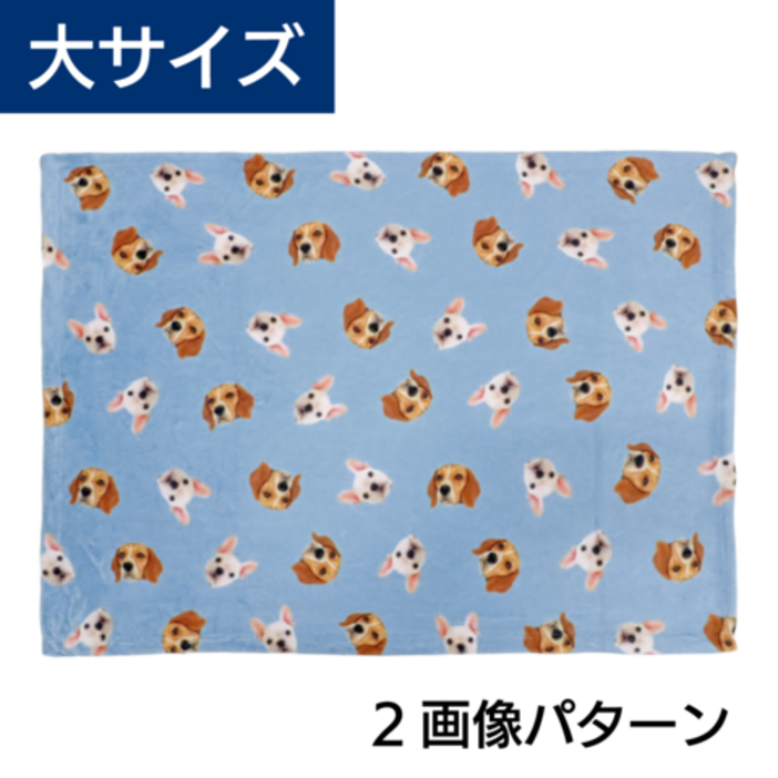 ���ѥ�����֥�󥱥å� �硡2����