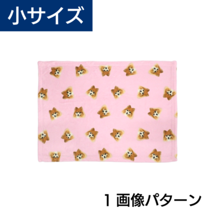 ���ѥ�����֥�󥱥å� ����1����