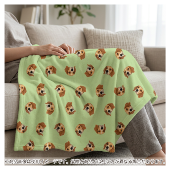 ���ѥ�����֥�󥱥å� �硡1����