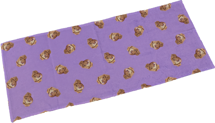 ���ѥ�����ե����������롡������