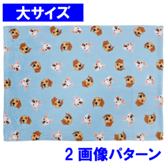 ���ѥ�����֥�󥱥å� �硡2����