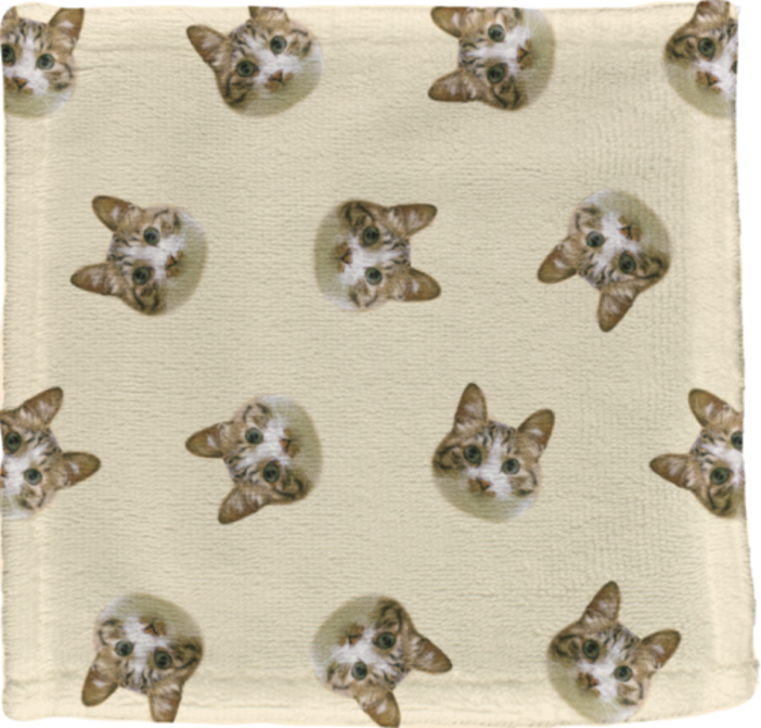 ���ѥ�����ߥ˥����롡1����