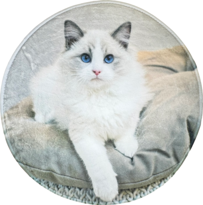 ����ƥꥢ�饰 ���̰���