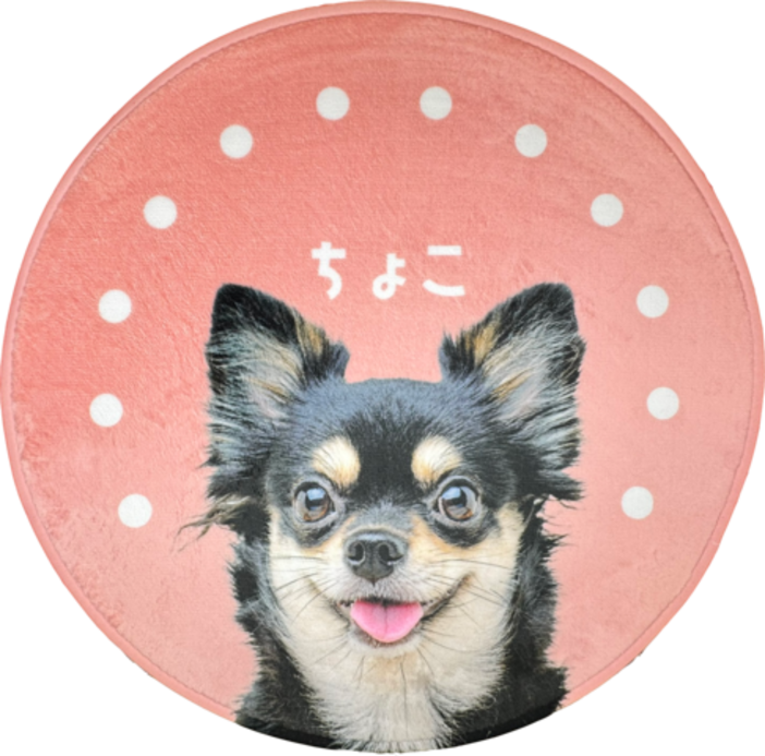 ����ƥꥢ�饰 �ɥå�