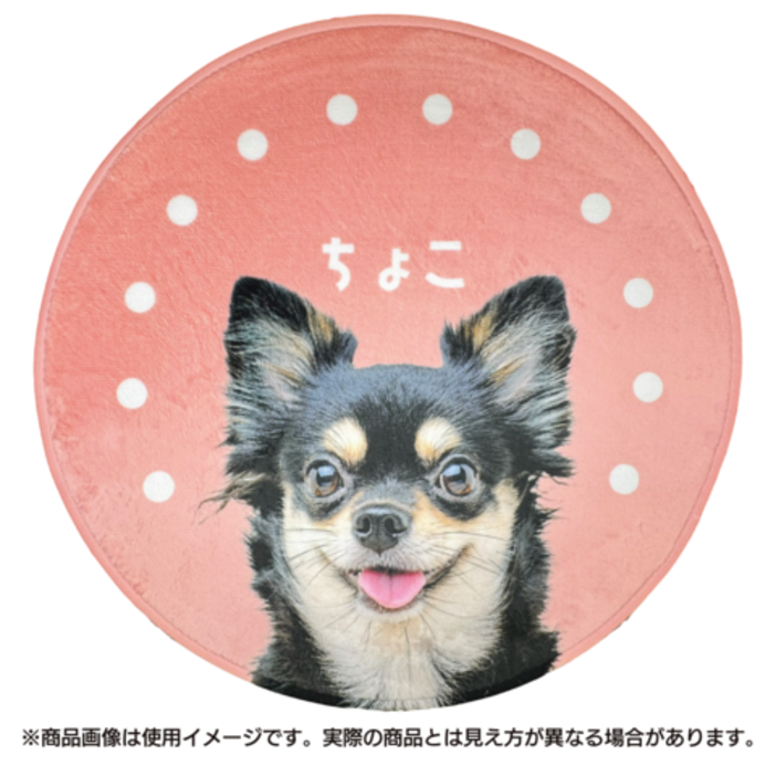 ����ƥꥢ�饰 �ɥå�