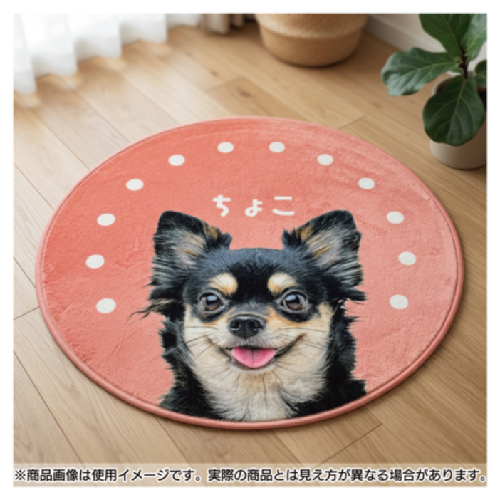 ����ƥꥢ�饰 �ɥå�