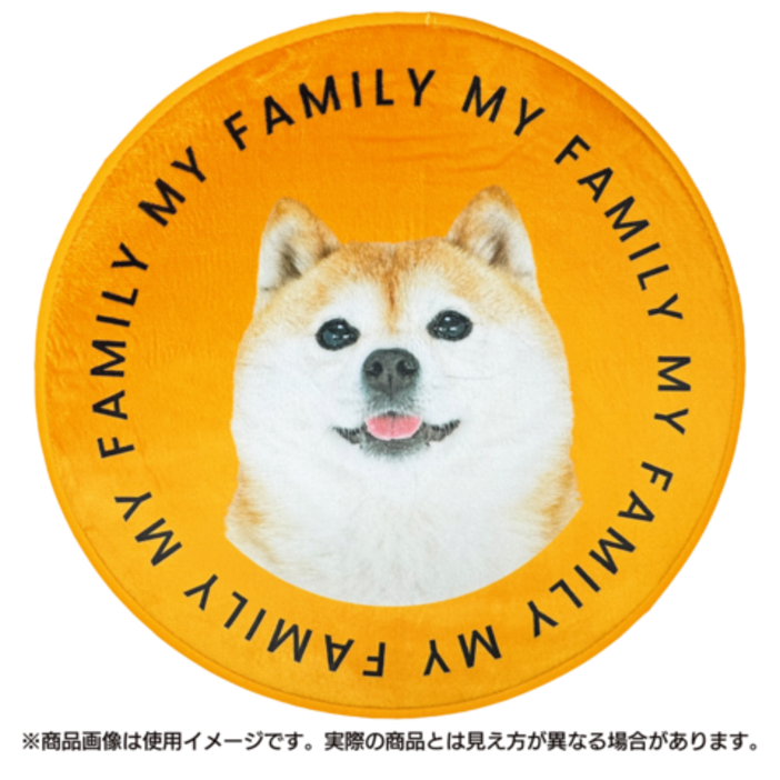 ����ƥꥢ�饰 MY FAMILY
