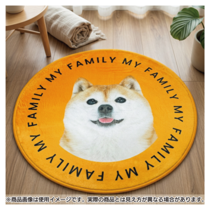 ����ƥꥢ�饰 MY FAMILY