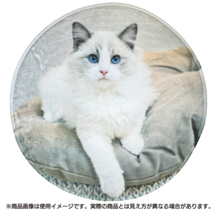 ����ƥꥢ�饰 ���̰���