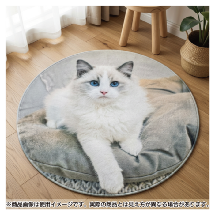 ����ƥꥢ�饰 ���̰���