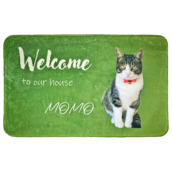 �����륫��ޥå� �����ܥ꡼