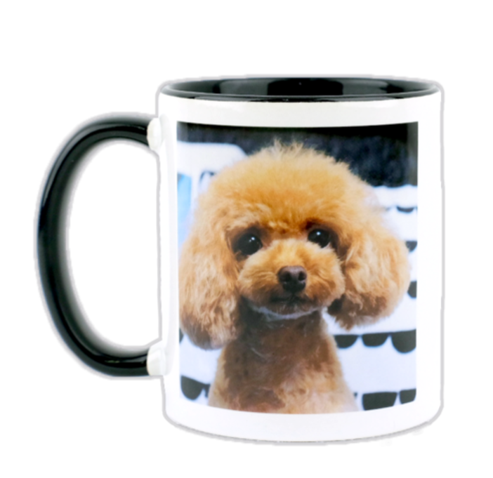 オリジナルカラーマグカップ 商品詳細 カラコレ 株式会社colors