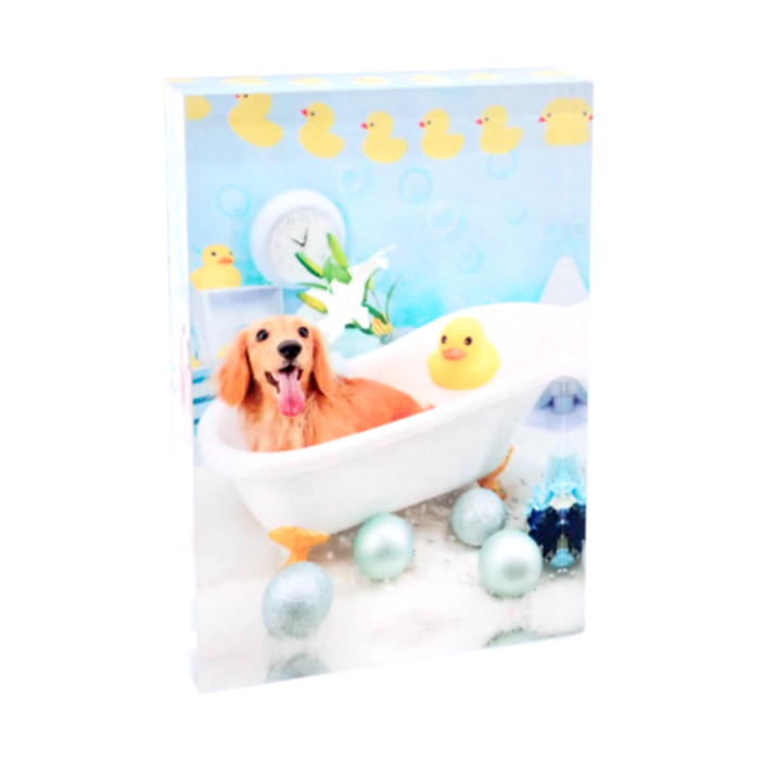 �����֥� �ġ����̰���