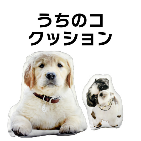 Υå硦