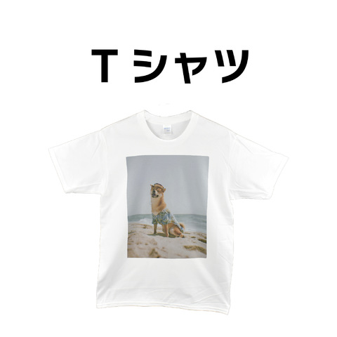 βT