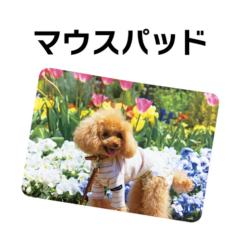 ޥѥå