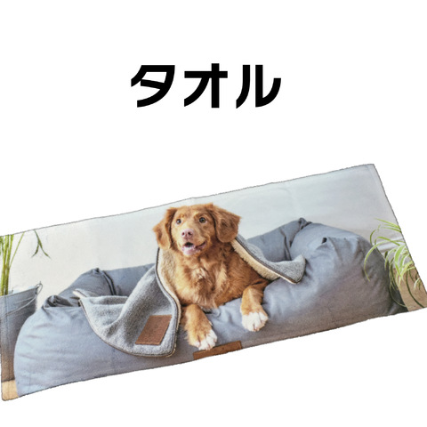 ե