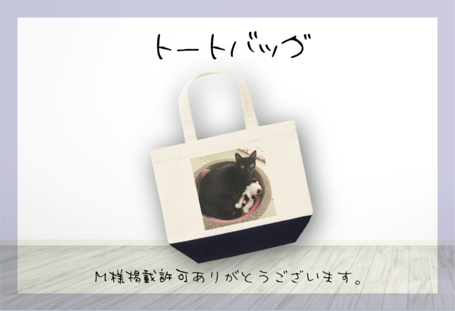 ȡȥХå 쥮顼 Х顼 ͥӡ S