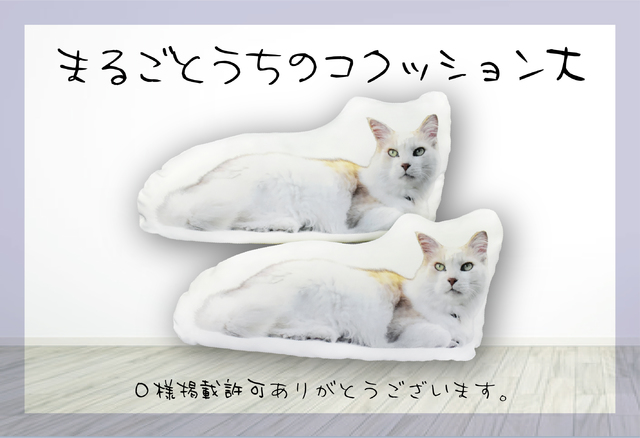 ޤ뤴ȤΥå
