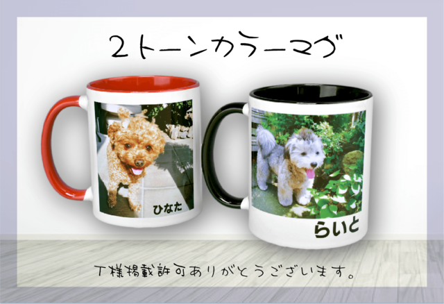 2ȡ󥫥顼ޥ ֥åå