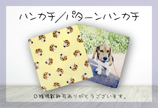 ϥ󥫥ѥϥ󥫥 (طʿ󥤥)
