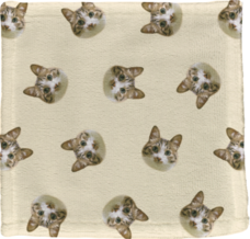 ���ѥ�����ߥ˥����롡1����