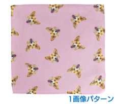 ���ѥ�����ϥ󥫥���1����