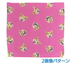 ���ѥ�����ϥ󥫥���2����