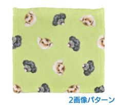 ���ѥ�����ߥ˥����롡2����