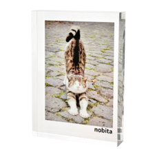 �����֥� �ġ��ե�����