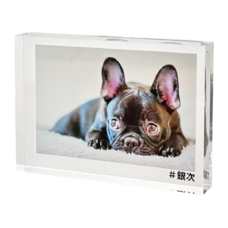 �����֥� �����ե�����