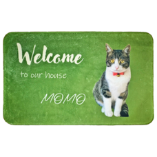 �����륫��ޥå� �����ܥ꡼