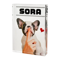 �����֥� �ġ��ǥ�����A