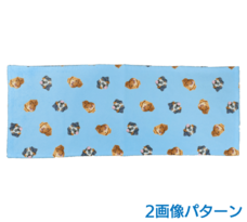 ���ѥ�����ե����������롡������