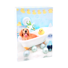 �����֥� �ġ����̰���