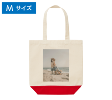 トートバッグ レギュラータイプ【バイカラー】 - Mサイズ