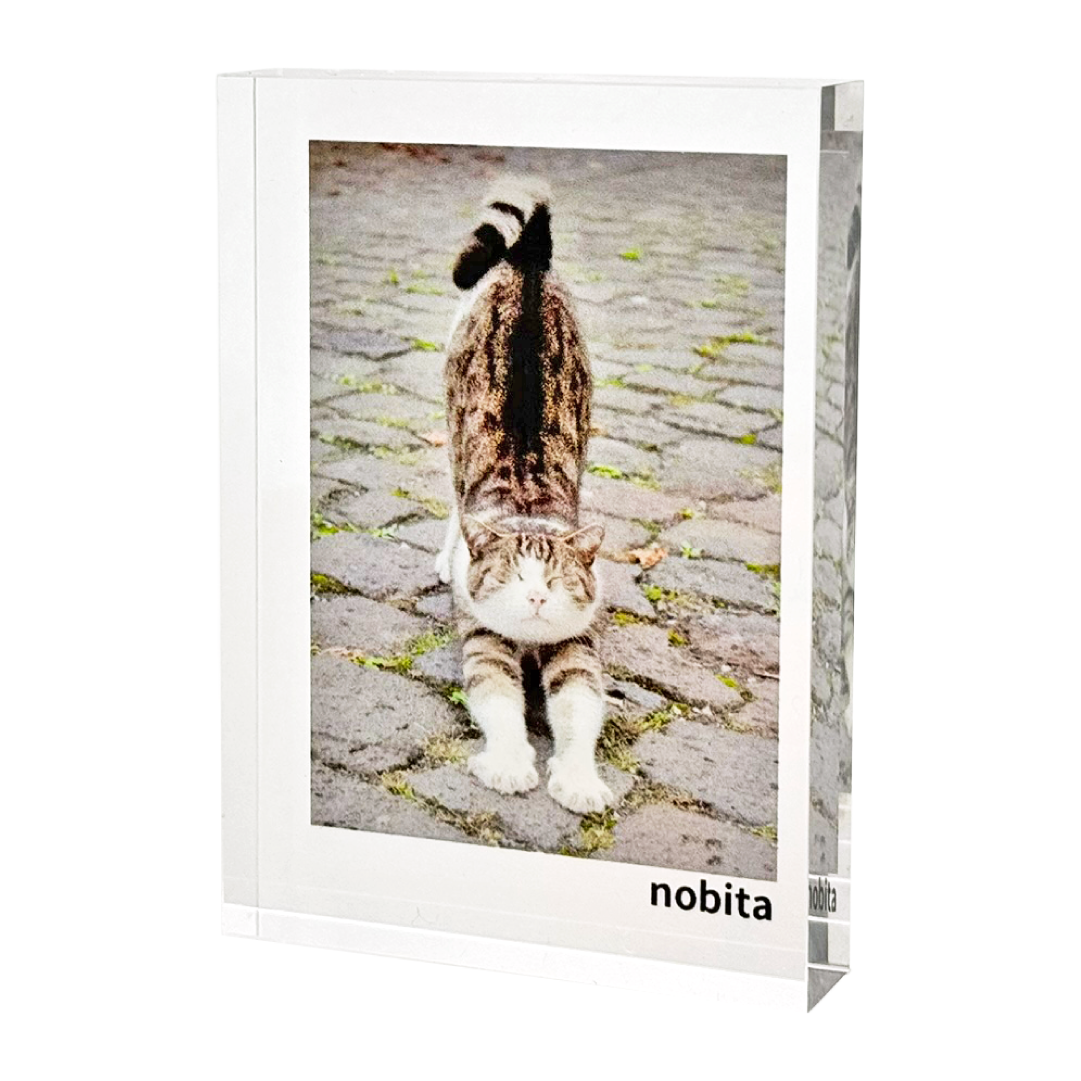 �����֥� �ġ��ե�����