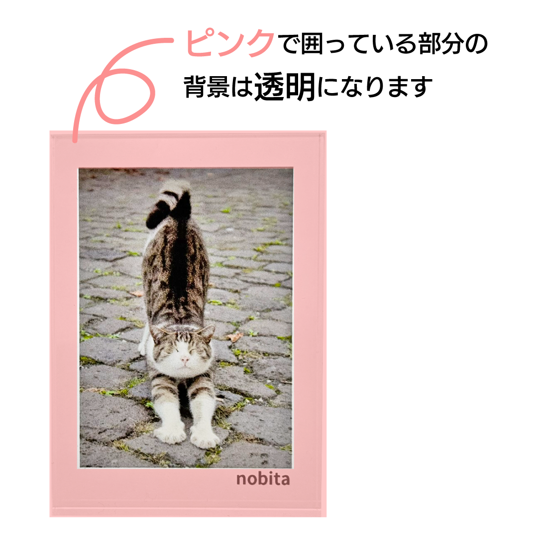 �����֥� �ġ��ե�����