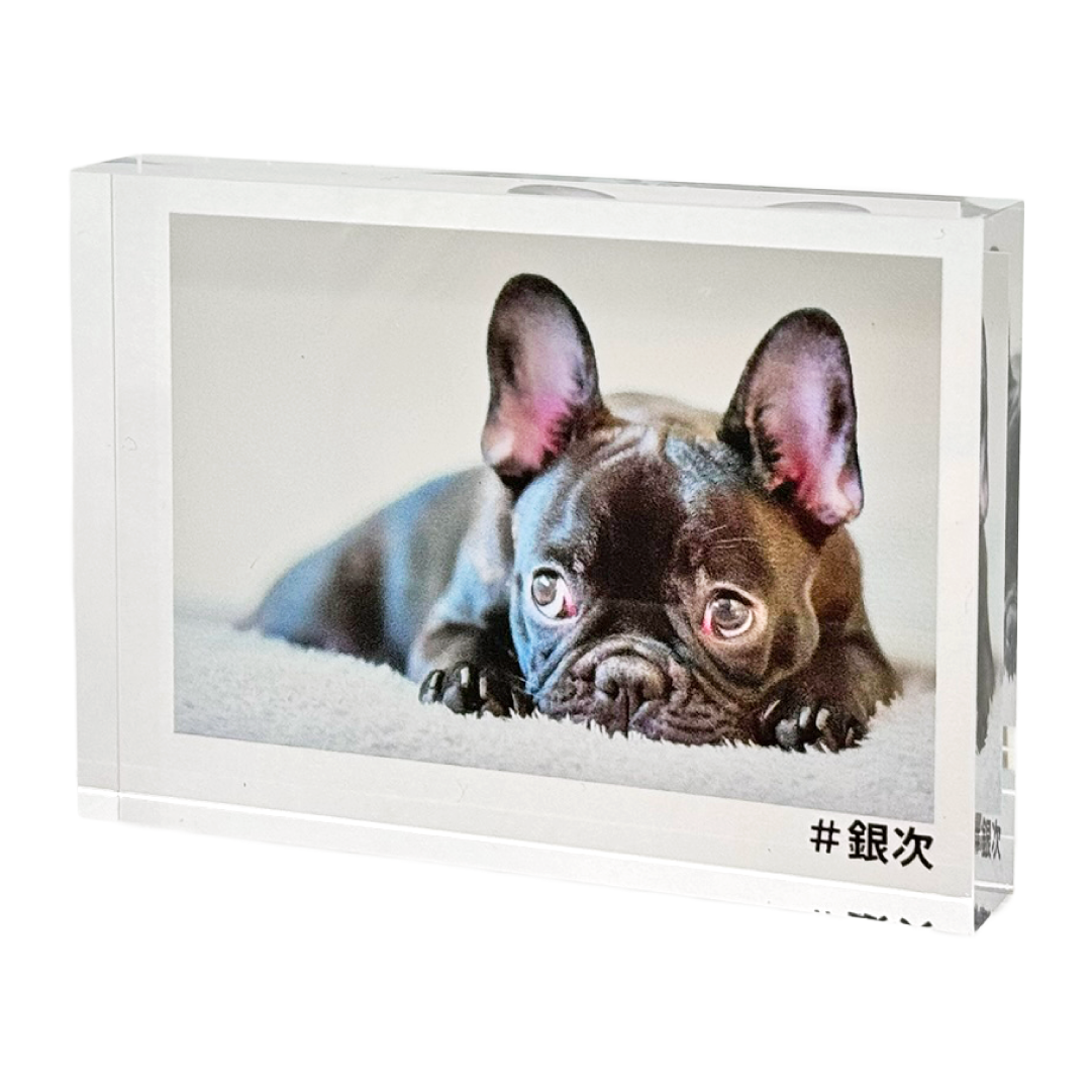 �����֥� �����ե�����