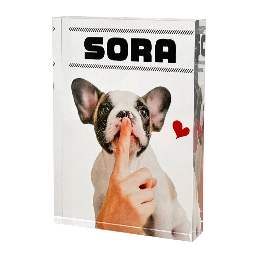 �����֥� �ġ��ǥ�����A