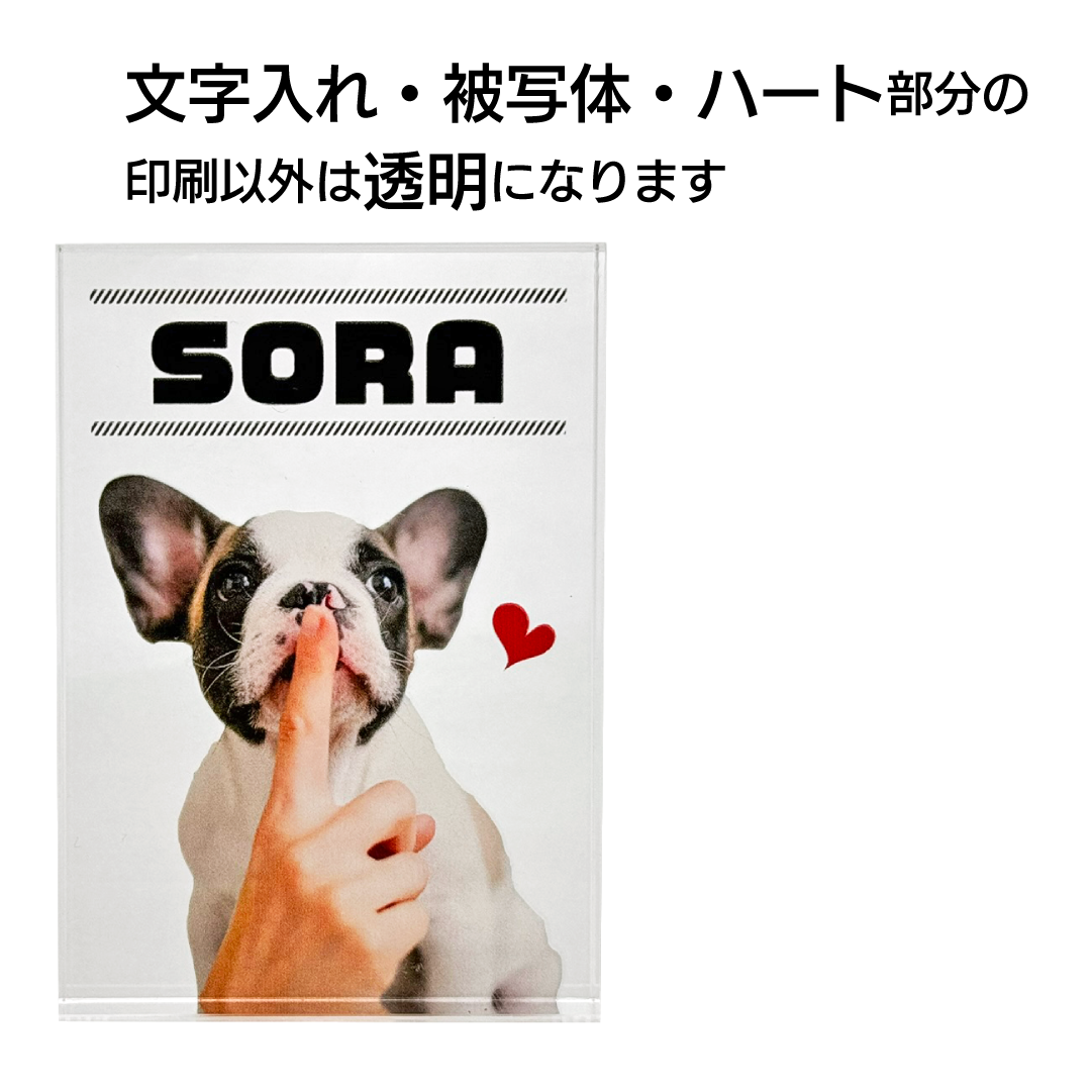 �����֥� �ġ��ǥ�����A