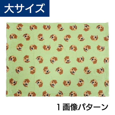 ���ѥ�����֥�󥱥å� �硡1����