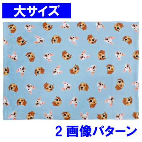 ���ѥ�����֥�󥱥å� �硡2����