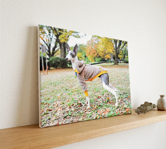 �����Х��ץ���