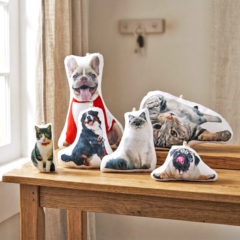 �����Τ����㡼�� - ��